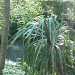 Holiday home De La Maison De L'etang Sampigny