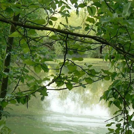 De La Maison De L'étang