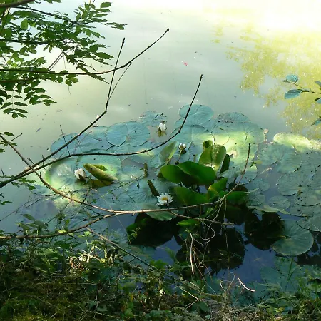 Holiday home De La Maison De L'etang Sampigny