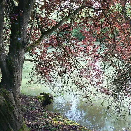 De La Maison De L'etang Ferienhaus *