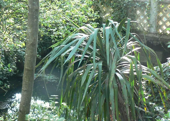 Holiday home De La Maison De L'etang Sampigny