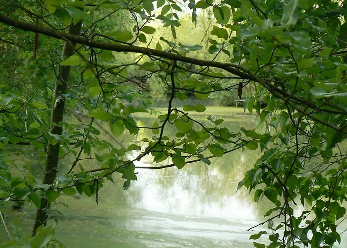 De La Maison De L'etang