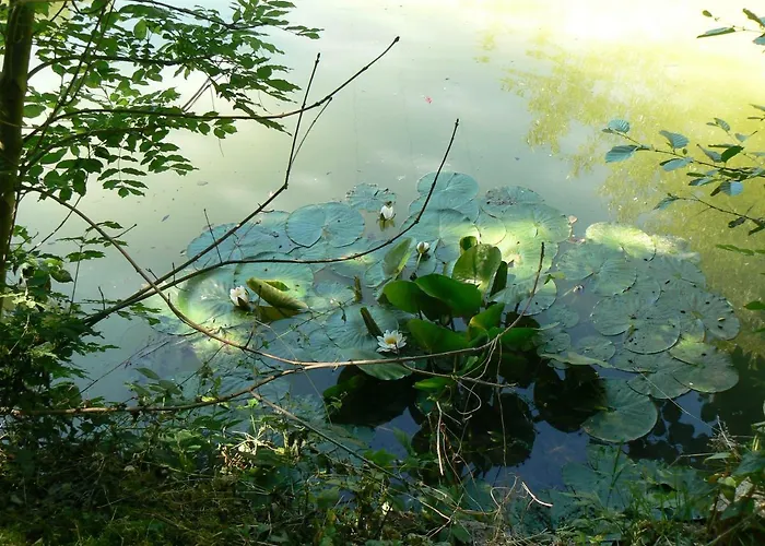 Holiday home De La Maison De L'etang Sampigny