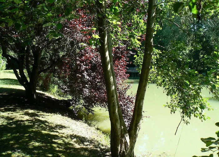 De La Maison De L'etang Holiday home