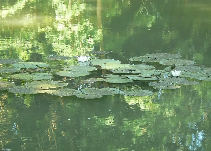 De La Maison De L'etang Holiday home Sampigny