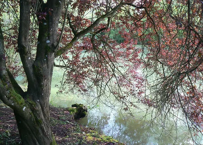 De La Maison De L'etang Holiday home *