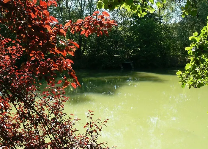 De La Maison De L'etang * Sampigny