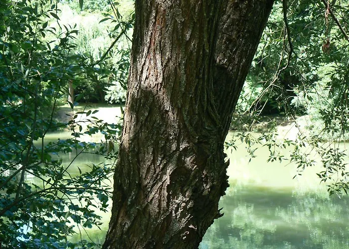 De La Maison De L'etang Sampigny