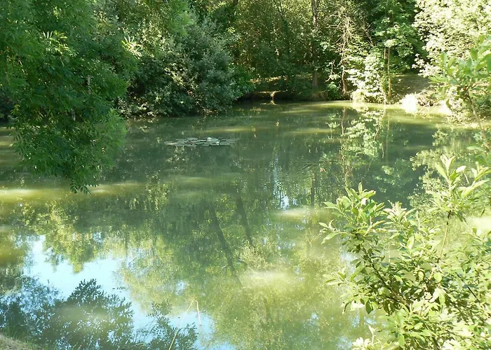 De La Maison De L'etang